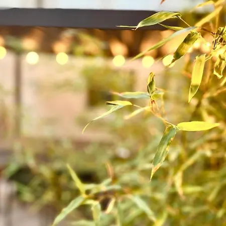 Semesterbostad Maison Arcania Raw Charm & Secret Garden *