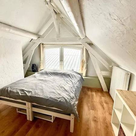 Maison Arcania Raw Charm & Secret Garden Semesterbostad Reims